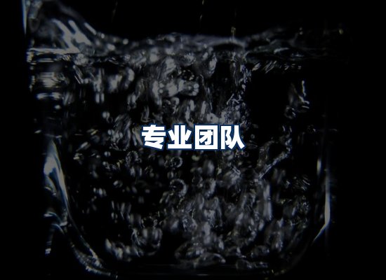 专业团队